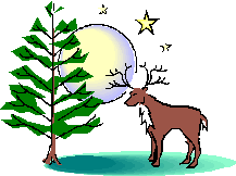 reindeer food